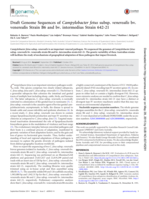 Draft Genome Sequences of Campylobacter fetus subsp. venerealis bv. venerealis Strain B6 and bv. intermedius Strain 642-21