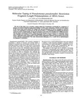 Molecular typing of Pseudomonas pseudomallei: Restriction fragment length polymorphisms of rRNA genes
