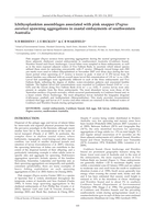 Ichthyoplankton assemblages associated with pink snapper (Pagrus auratus) spawning aggregations in coastal embayments of southwestern Australia