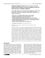 Genome sequence of Rhizobium leguminosarum bv trifolii strain WSM1689, the microsymbiont of the one flowered clover Trifolium uniflorum