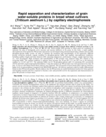 Rapid separation and characterization of grain water-soluble proteins in bread wheat cultivars (Triticum aestivum L.) by capillary electrophoresis