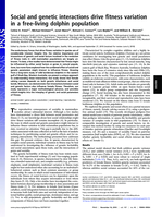 Social and genetic interactions drive fitness variation in a free-living dolphin population