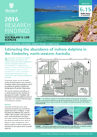 Estimating the abundance of inshore dolphins in the Kimberley, north-western Australia