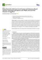 Deep network with score level fusion and inference-based transfer learning to recognize leaf blight and fruit rot diseases of eggplant