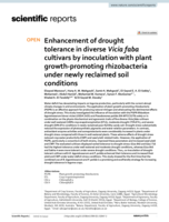 Enhancement of drought tolerance in diverse Vicia faba cultivars by inoculation with plant growth-promoting rhizobacteria under newly reclaimed soil conditions