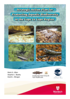 Strategic action plan for protecting aquatic biodiversity in the Cape to Cape region. Report to the Cape to Cape Catchments Group and Department of Environment andConservation, Government of Western Australia