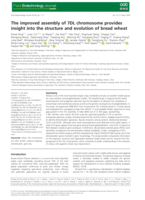 The improved assembly of 7DL chromosome provides insight into the structure and evolution of bread wheat