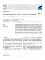 SSR markers associated to early leaf spot disease resistance through selective genotyping and single marker analysis in groundnut ( Arachis hypogaea L.)