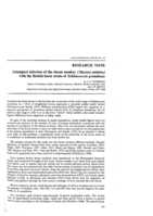 Attempted infection of the rhesus monkey (Macaca mulatta) with the British horse strain of Echinococcus granulosus