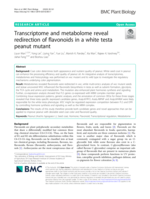 Transcriptome and metabolome reveal redirection of flavonoids in a white testa peanut mutant