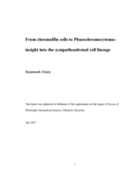 From chromaffin cells to Phaeochromocytoma: insight into the sympathoadrenal cell lineage