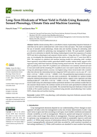 Long-term hindcasts of wheat yield in fields using remotely sensed phenology, climate data and machine learning
