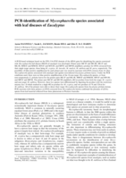 PCR-identification of Mycosphaerella species associated with leaf diseases of Eucalyptus