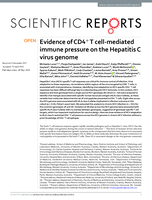 Evidence of CD4+ T cell-mediated immune pressure on the Hepatitis C virus genome