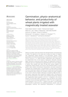 Germination, physio-anatomical behavior, and productivity of wheat plants irrigated with magnetically treated seawater