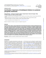 Acclimation responses of Arabidopsis thaliana to sustained phosphite treatments