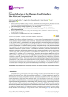Campylobacter at the Human–Food Interface: The African Perspective