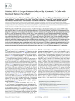 Distinct HIV-1 Escape Patterns Selected by Cytotoxic T Cells with Identical Epitope Specificity