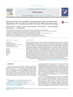 Detection of QTL for metabolic and agronomic traits in wheat with adjustments for variation at genetic loci that affect plant phenology