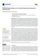 Animal welfare risks in live cattle export from Australia to China by sea