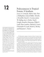Podocarpaceae in tropical forests: A synthesis