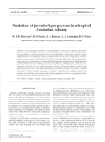 Predation of juvenile tiger prawns in a tropical Australian estuary