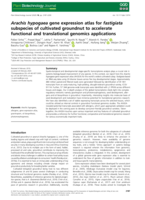 Arachis hypogaea gene expression atlas for fastigiata subspecies of cultivated groundnut to accelerate functional and translational genomics applications