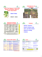 QTLs from genome to field using markers and genetic maps for peanut improvement : W217