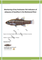 Monitoring of key freshwater fish indicators of adequacy of baseflow in the Blackwood River