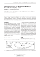 Chamaebotrys erectus sp. nov. (Rhodymeniales, Rhodophyta) from the Socotra Archipelago, Yemen
