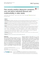 Pain severity predicts depressive symptoms over and above individual illnesses and multimorbidity in older adults