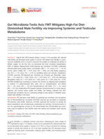 Gut Microbiota-Testis Axis: FMT Mitigates High-Fat Diet-Diminished Male Fertility via Improving Systemic and Testicular Metabolome