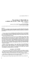 The occurrence of Mesocestoides sp. in British wild red foxes (Vulpes vulpes crucigera)
