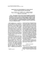 Isoenzyme electrophoresis of 30 isolates of Giardia from humans and felines