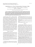 Identification of a novel cryptosporidium genotype in pigs