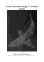 Global seascape ecology of the white shark