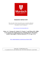 A new prospect for tagging large free-swimming sharks with motion-sensitive data-loggers