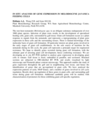 In situ analysis of gene expression in Meloidogyne javanica feeding cells