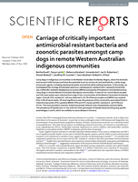 Carriage of critically important antimicrobial resistant bacteria and zoonotic parasites amongst camp dogs in remote Western Australian indigenous communities