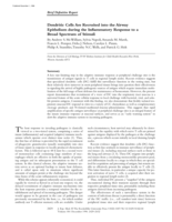 Dendritic cells are recruited into the airway epithelium during the inflammatory response to a broad spectrum of stimuli