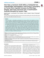 How does a carnivore guild utilise a substantial but unpredictable anthropogenic food source? Scavenging on hunter-shot ungulate carcasses by wild dogs/dingoes, red foxes and feral cats in South-Eastern Australia revealed by camera traps