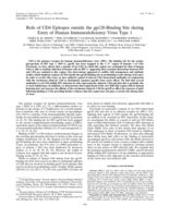 Role of CD4 epitopes outside the gp120-binding site during entry of human immunodeficiency virus type 1
