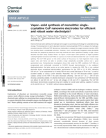 Vapor–solid synthesis of monolithic single-crystalline CoP nanowire electrodes for efficient and robust water electrolysis