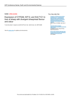 Expression of CYP2A6, KIF12, and SULT1C1 in liver of sheep with divergent sheepmeat flavour and odour