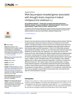 RNA-Seq analysis revealed genes associated with drought stress response in kabuli chickpea (Cicer arietinum L.)