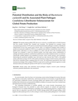 Potential distribution and the risks of Bactericera cockerelli and its associated plant pathogen Candidatus Liberibacter solanacearum for global potato production