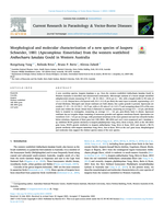 Morphological and molecular characterization of a new species of Isospora Schneider, 1881 (Apicomplexa: Eimeriidae) from the western wattlebird Anthochaera lunulata Gould in Western Australia