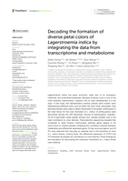 Decoding the formation of diverse petal colors of Lagerstroemia indica by integrating the data from transcriptome and metabolome