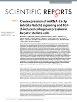 Overexpression of miRNA-25-3p inhibits Notch1 signaling and TGF-β-induced collagen expression in hepatic stellate cells