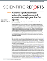 Genomic signatures of local adaptation reveal source-sink dynamics in a high gene flow fish species
